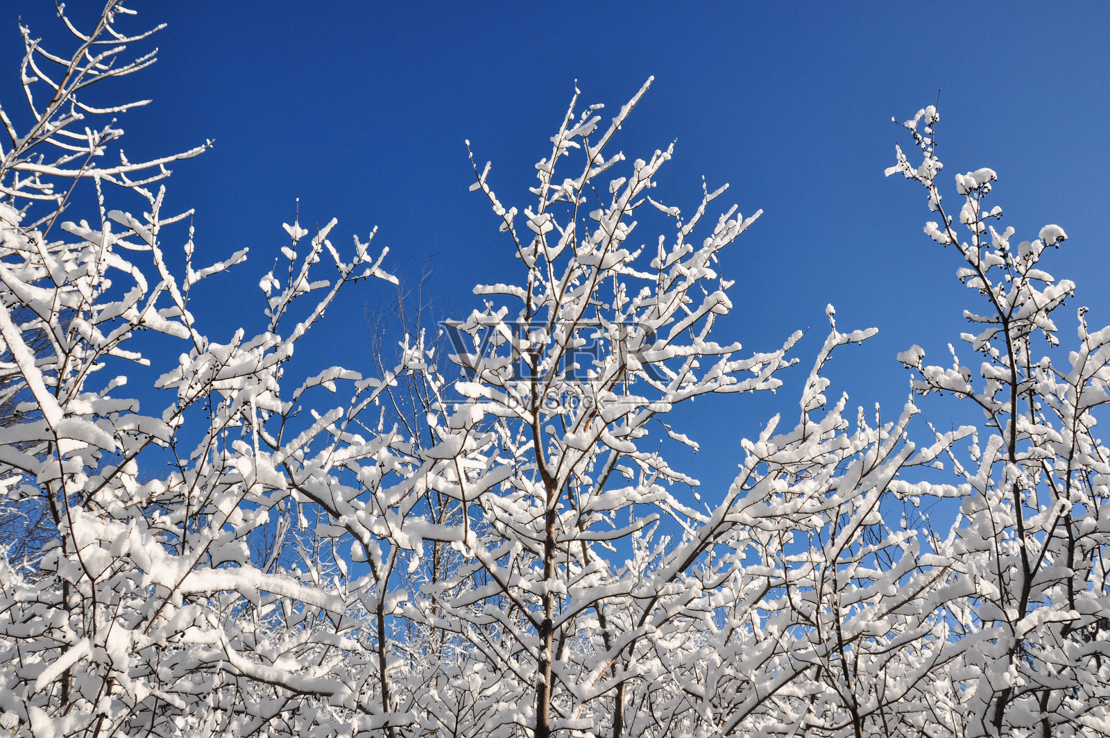 冬天的场景照片摄影图片