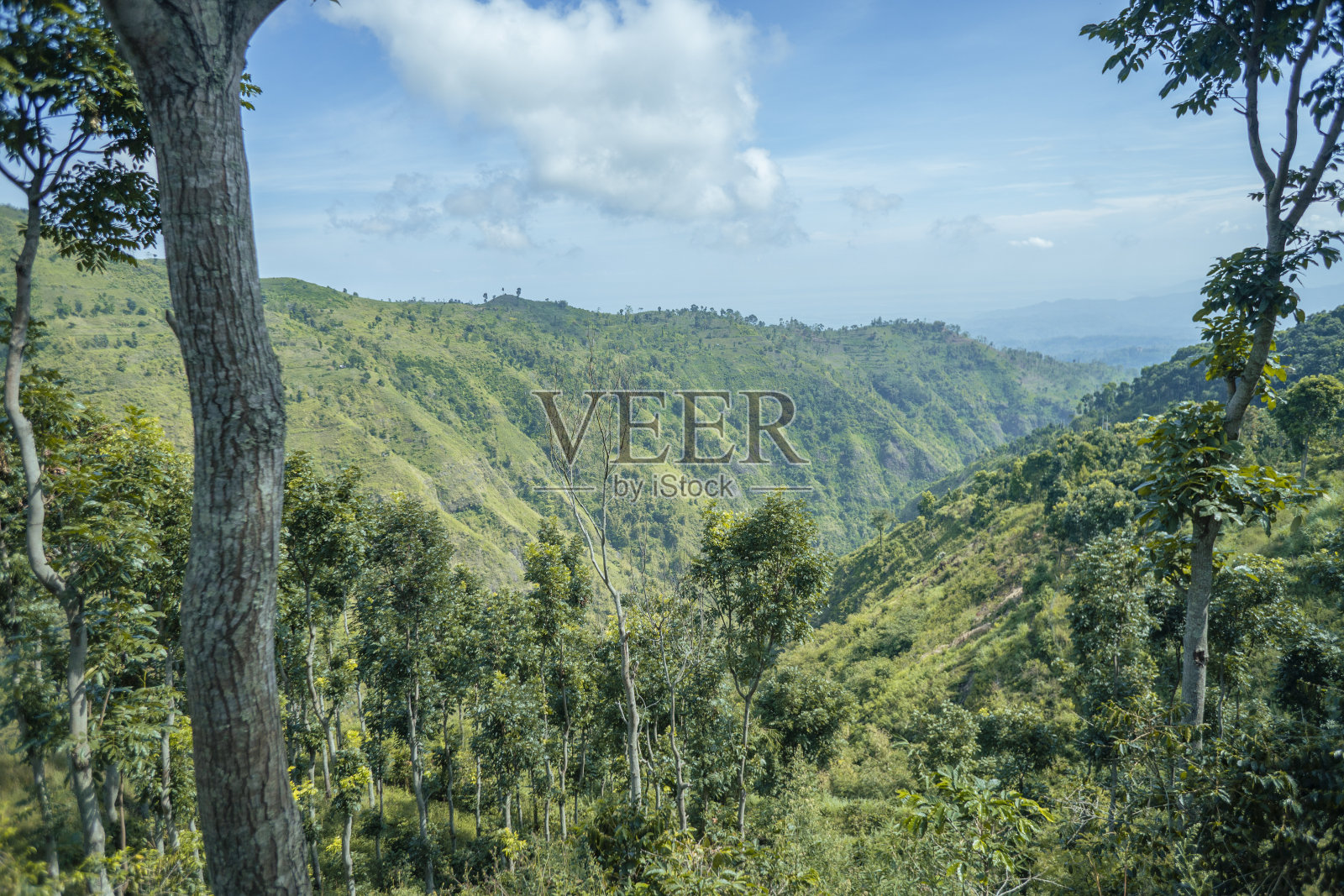 在雨季从印尼山上俯瞰照片摄影图片