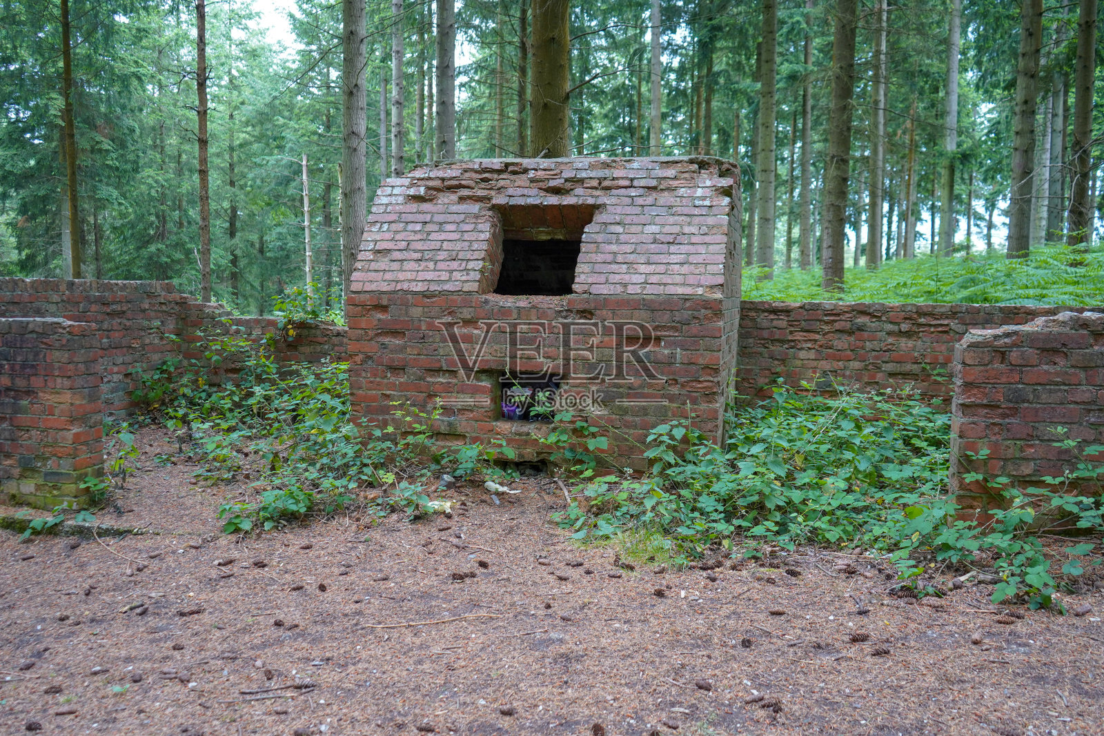 森林中一座古老建筑的废墟照片摄影图片