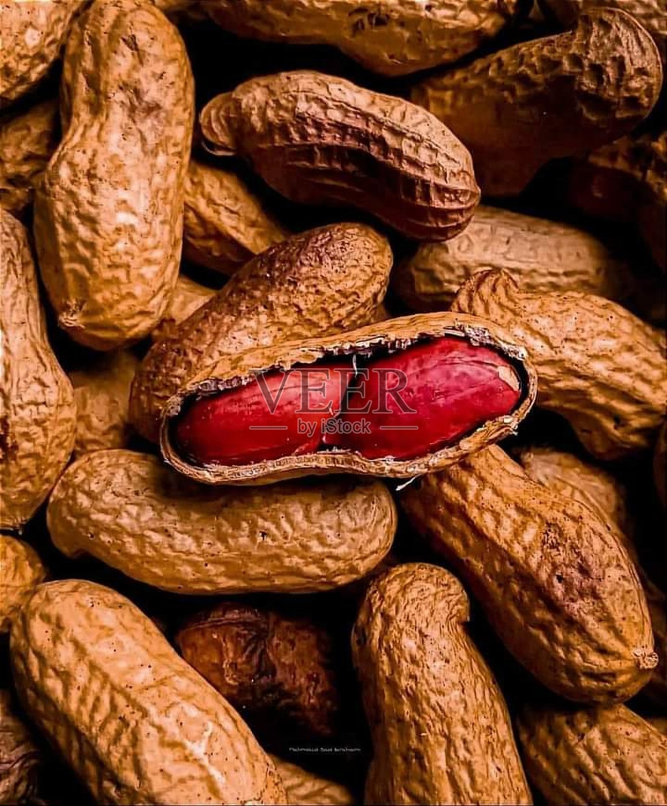 花生照片摄影图片