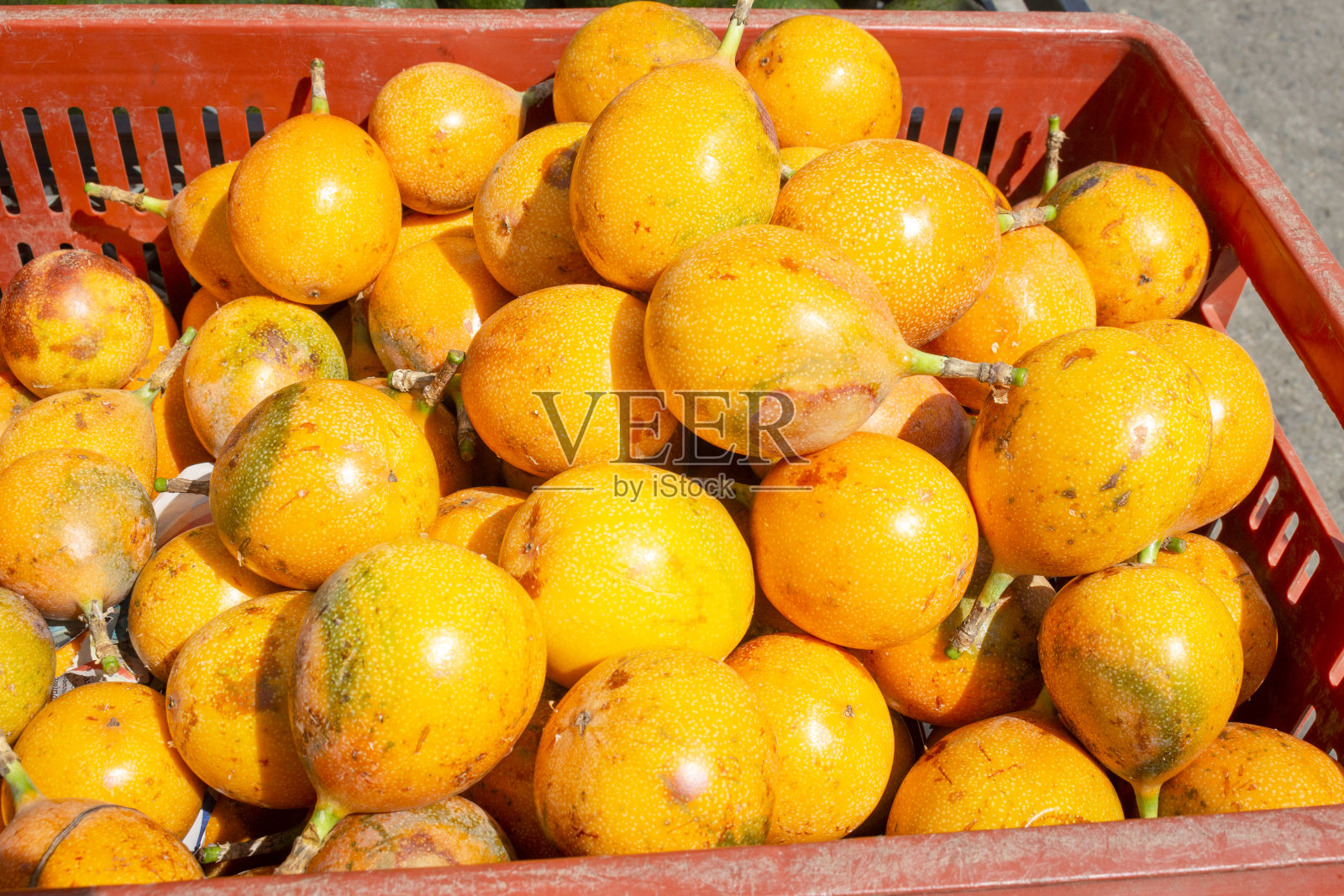 美味的格拉纳迪拉passilla ligularis照片摄影图片