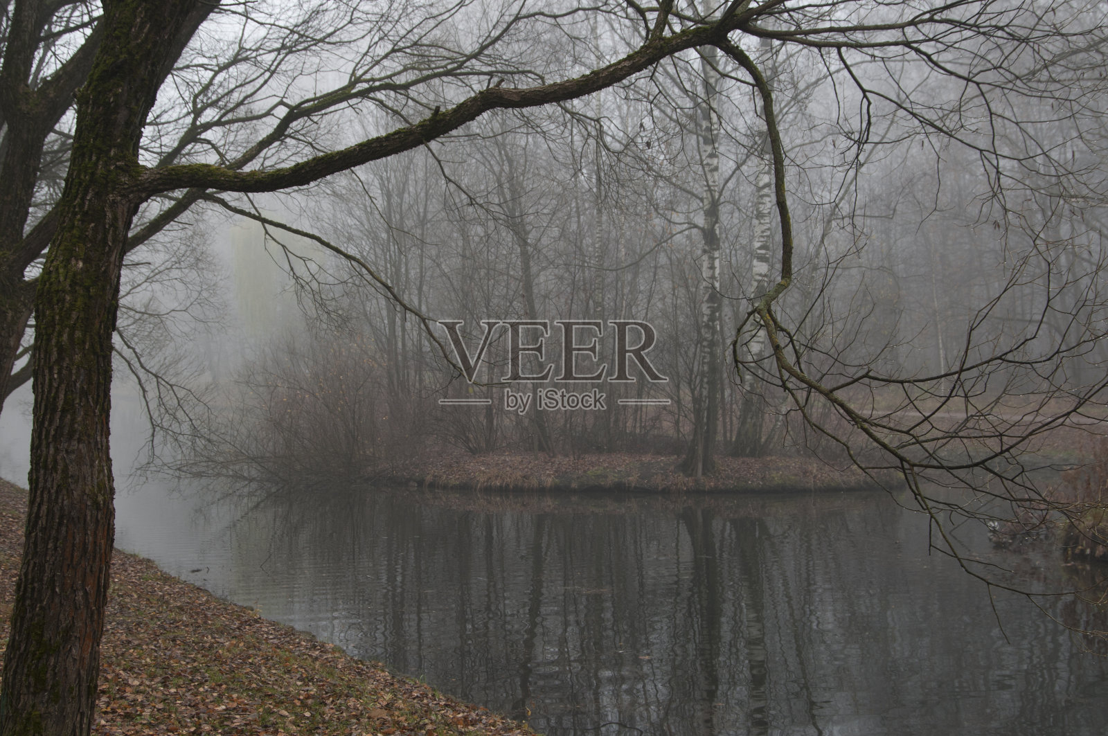 秋天的风景与雾在索科尔尼基照片摄影图片