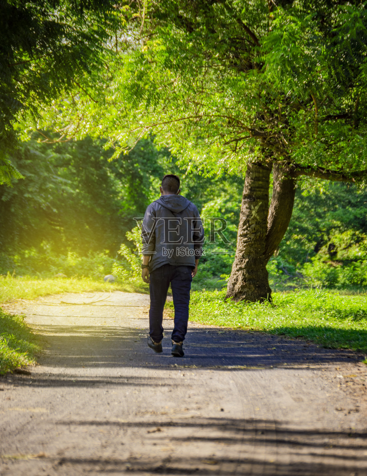 一个拉丁人走在一条漂亮的路上，一个年轻人的背影走在一条被树包围的路上照片摄影图片