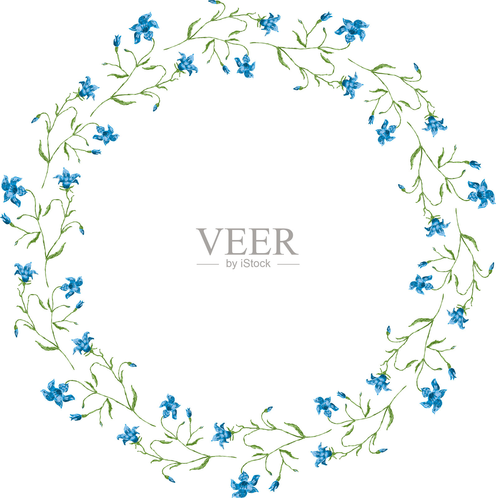 向量装饰花圈从绘制蓝色精致的风信子设计元素图片