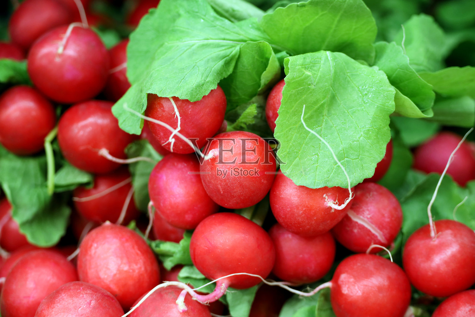 市场上的带叶红萝卜照片摄影图片