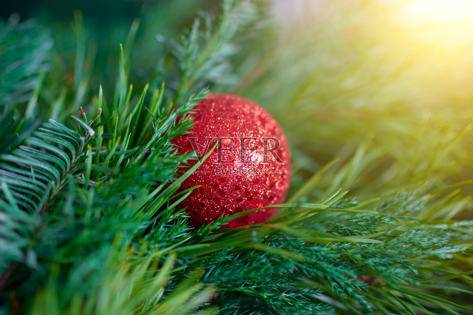 新年的背景。圣诞花环。明亮的玩具。云杉。松树。冷杉。明信片。冷杉。红色的球。锥。黄金之星。特写镜头照片摄影图片