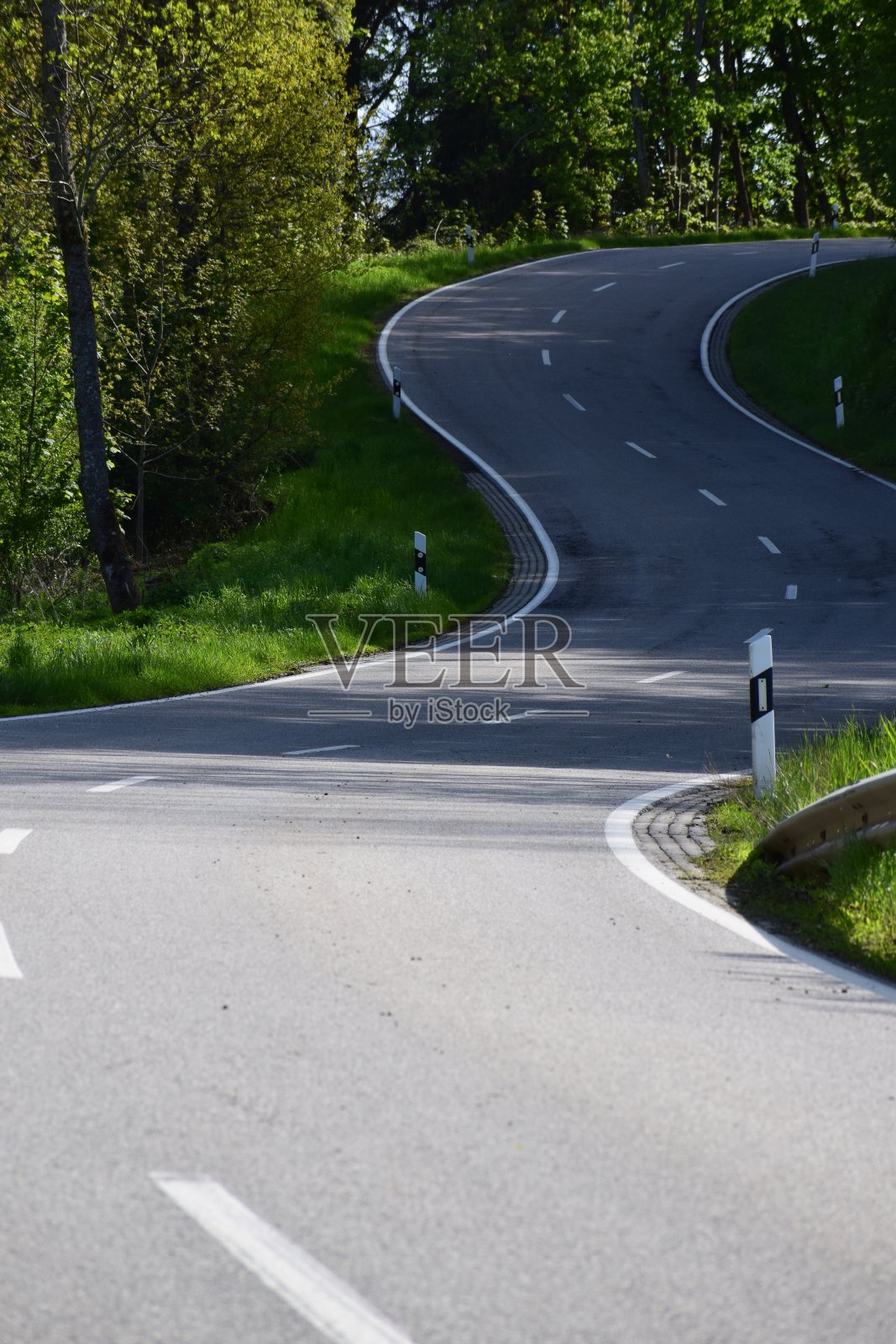 陡峭的双s曲线在春天的森林照片摄影图片
