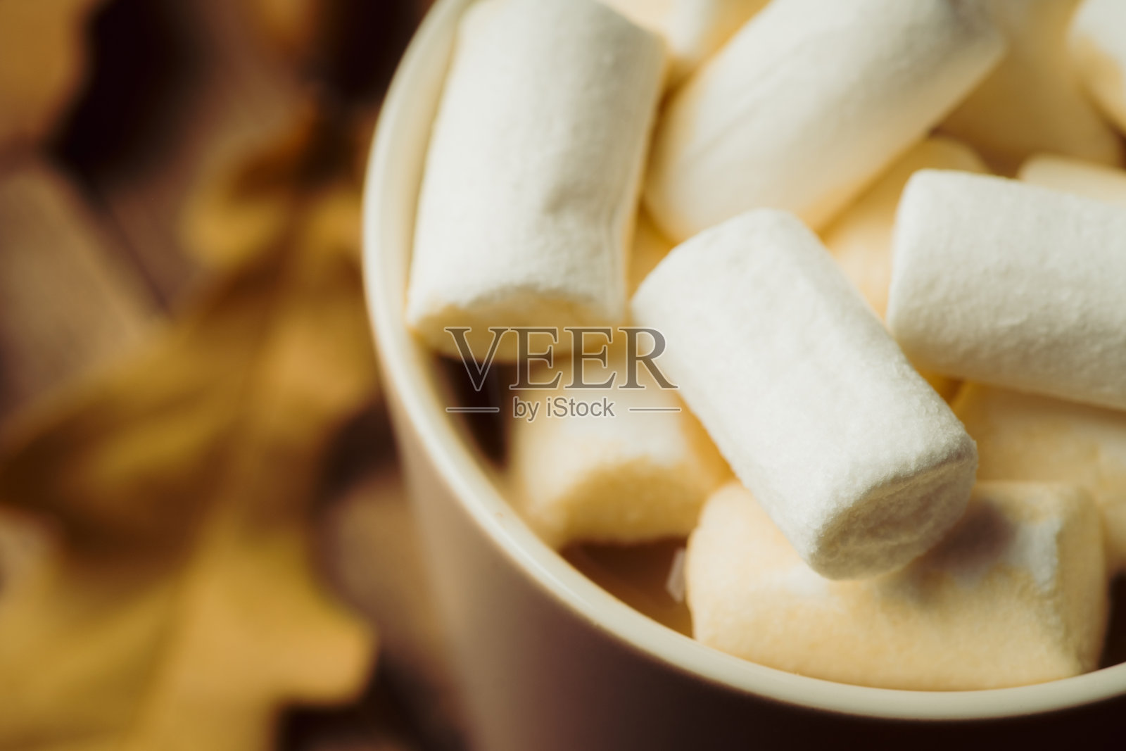 一杯热巧克力配棉花糖和干橡树叶。有选择性的重点。秋天的心情。照片摄影图片