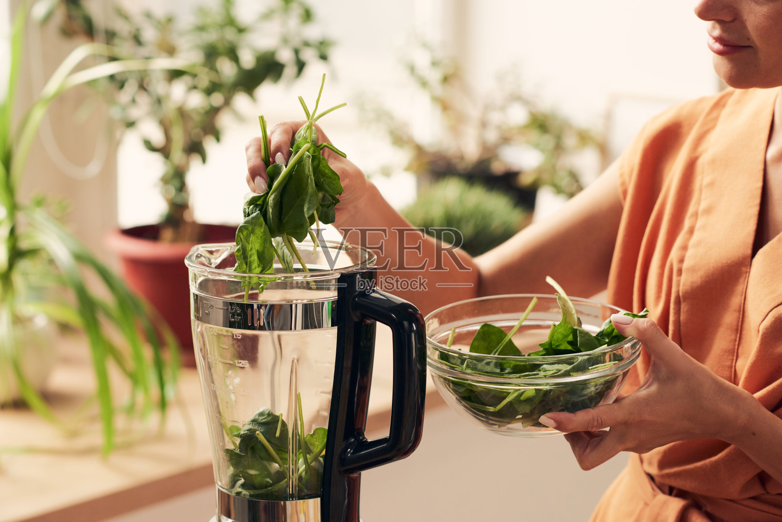 年轻的家庭主妇把新鲜的绿菠菜叶放进搅拌器里照片摄影图片
