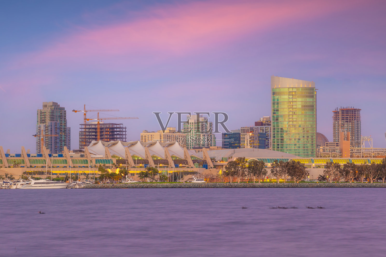 美国圣迭戈市中心的城市天际线照片摄影图片