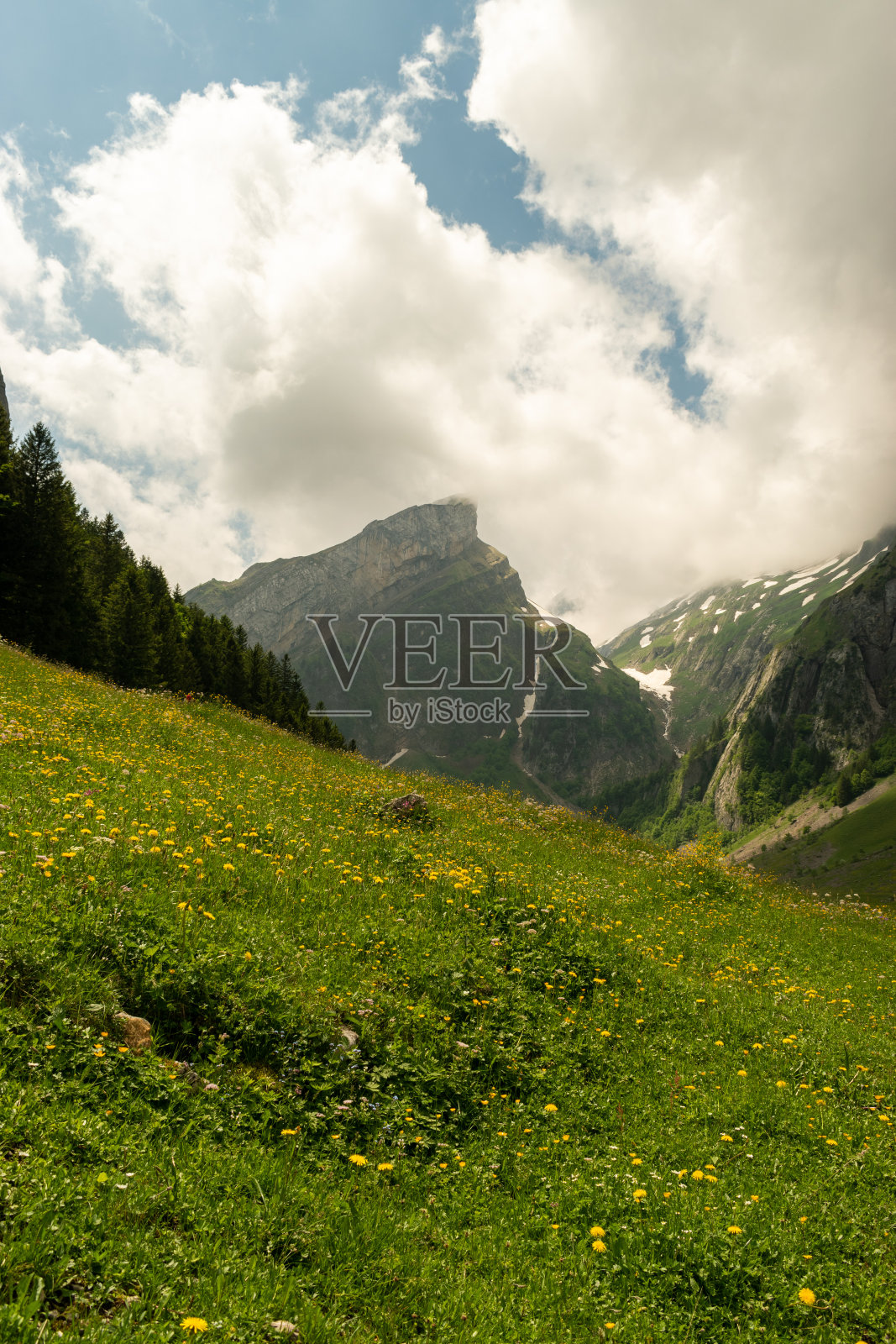 瑞士阿彭策尔的西阿尔普西湖边阿尔卑斯山前的绿色田野照片摄影图片