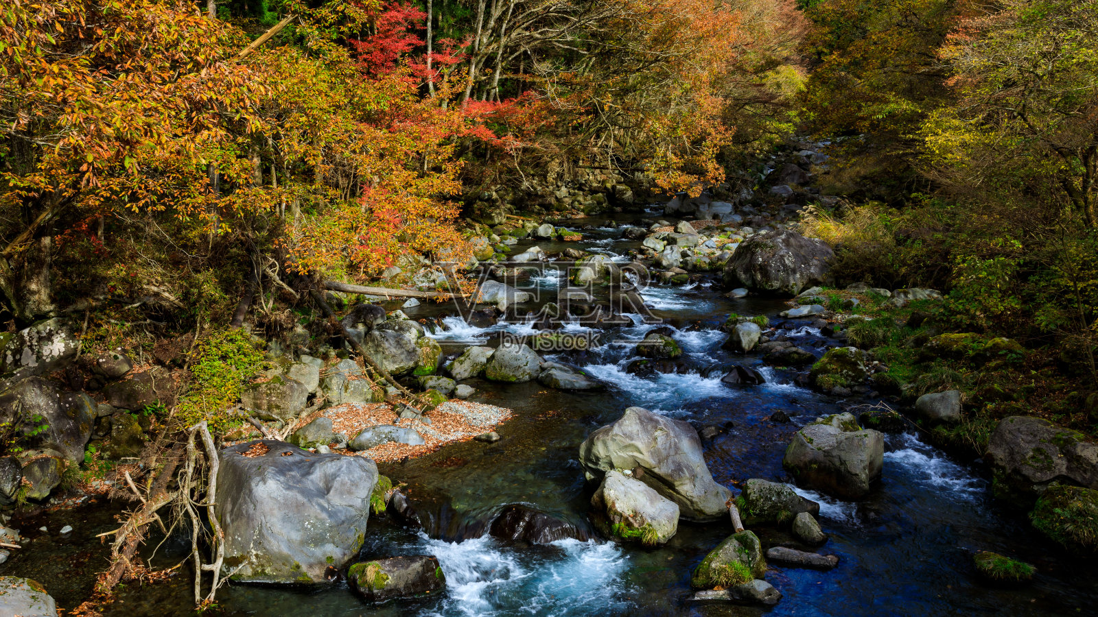 秋叶溪流在日本的季节照片摄影图片