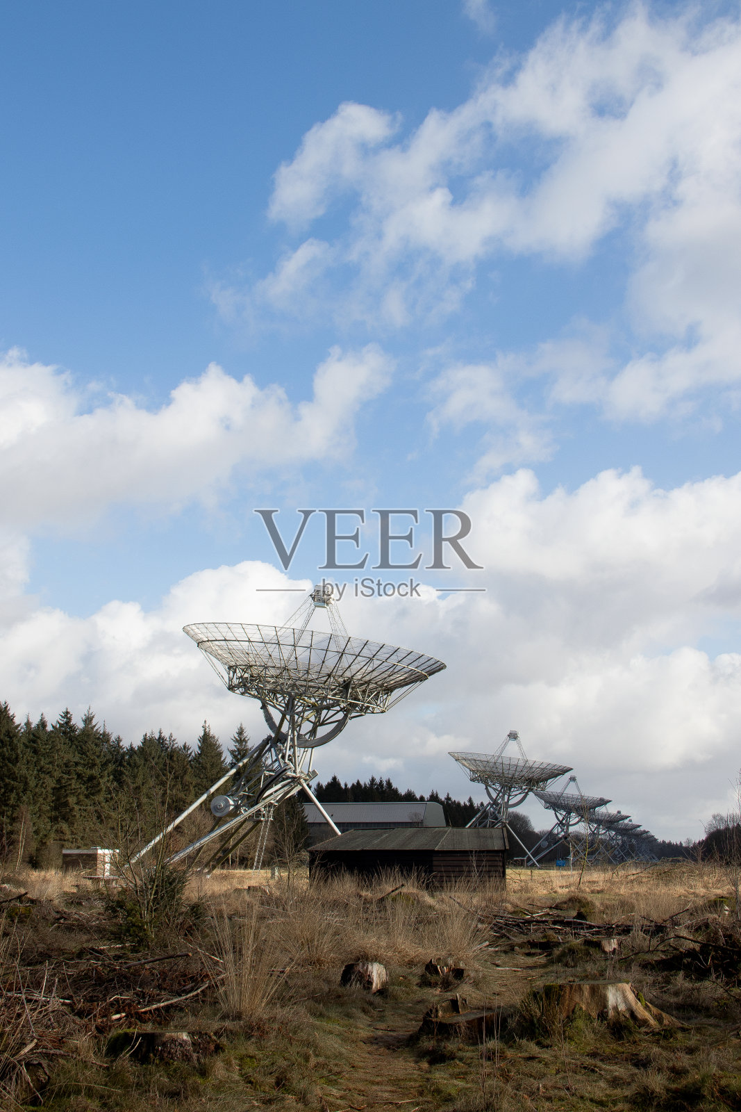 森林里的无线电卫星天线照片摄影图片