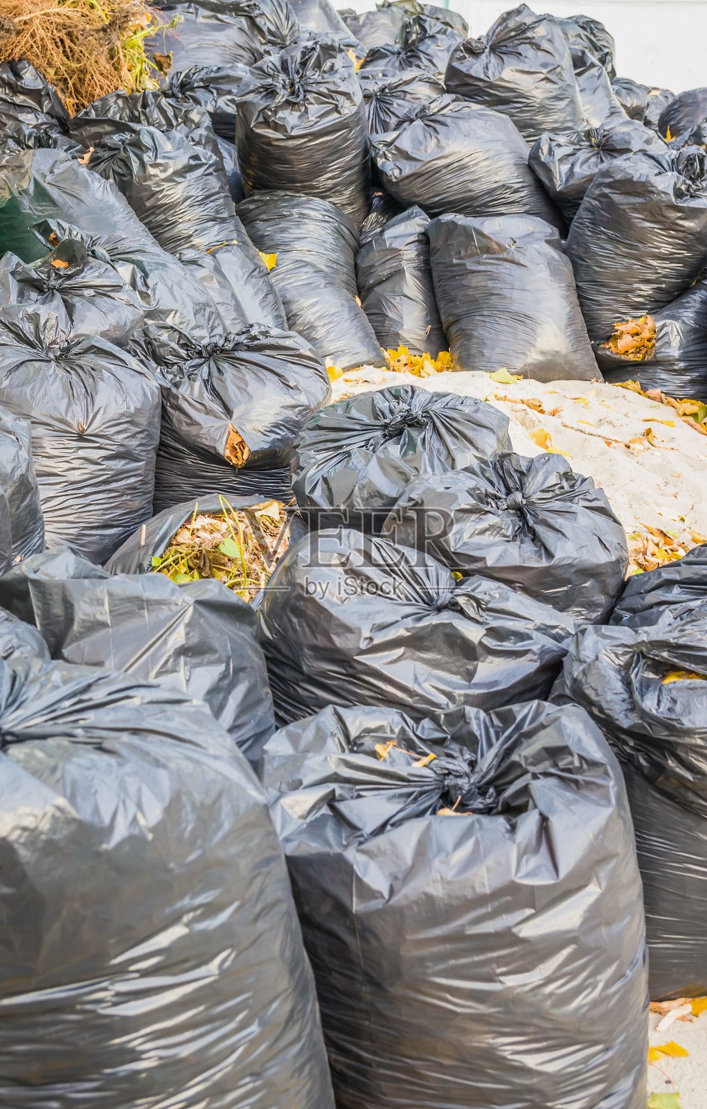 黑色塑料袋里的落叶。去年的落叶在袋子里照片摄影图片