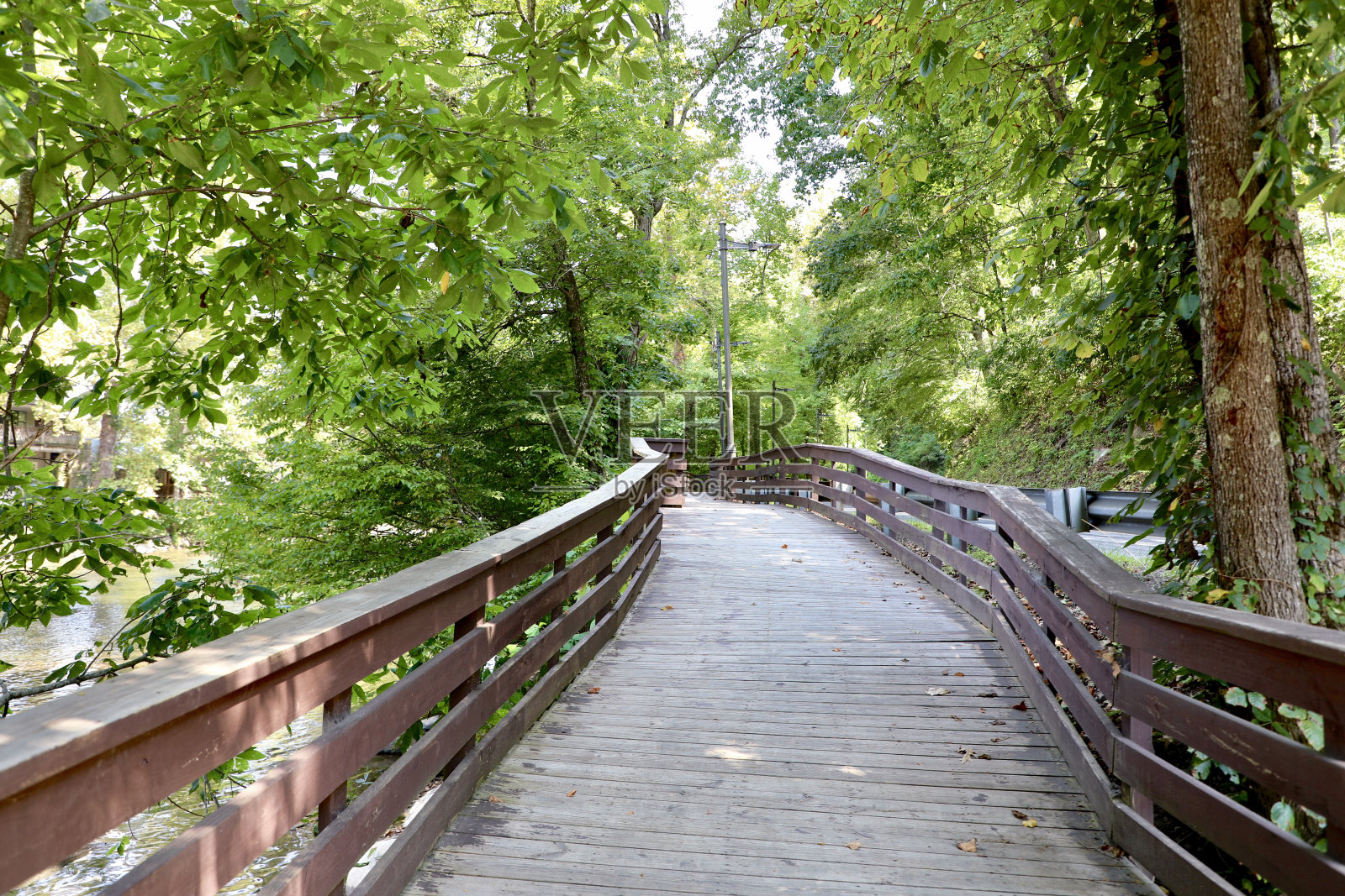 公园里的木板路照片摄影图片