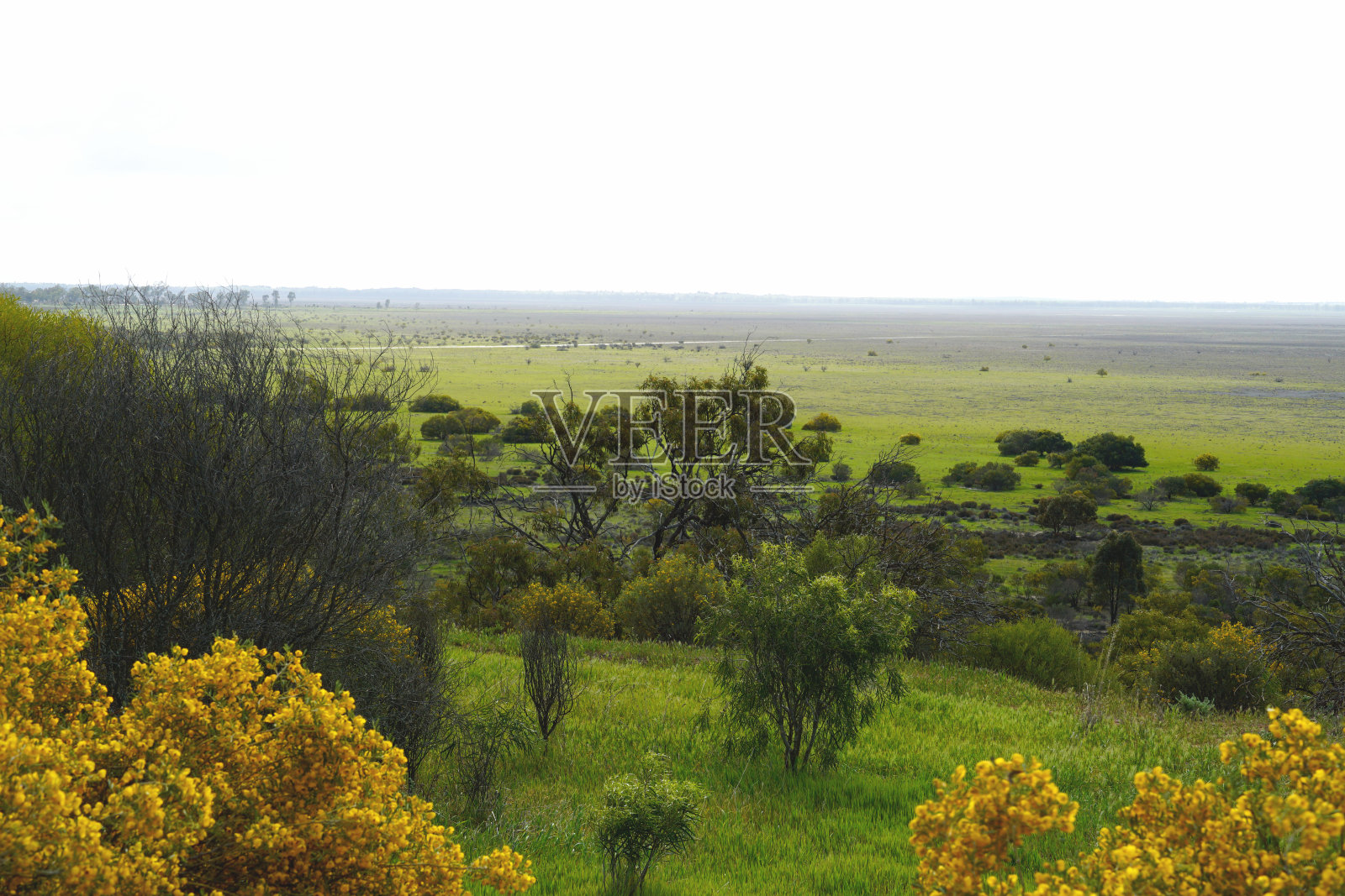 彩虹,维多利亚,澳大利亚照片摄影图片