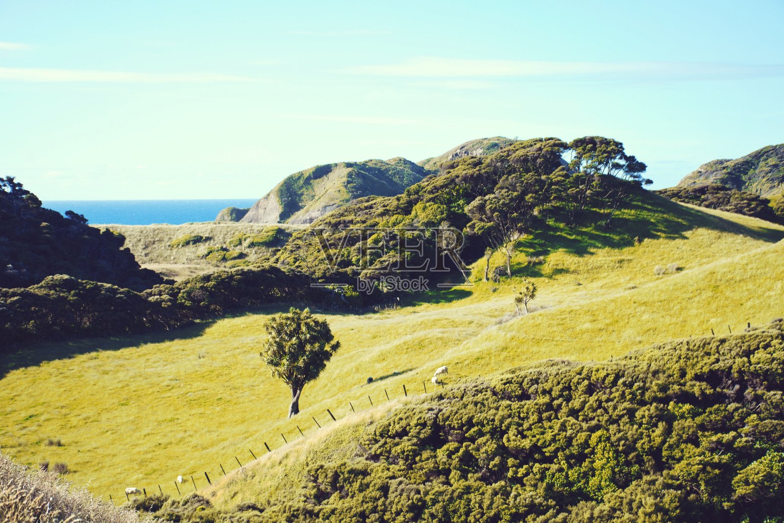 新西兰偏远乡村景观照片摄影图片