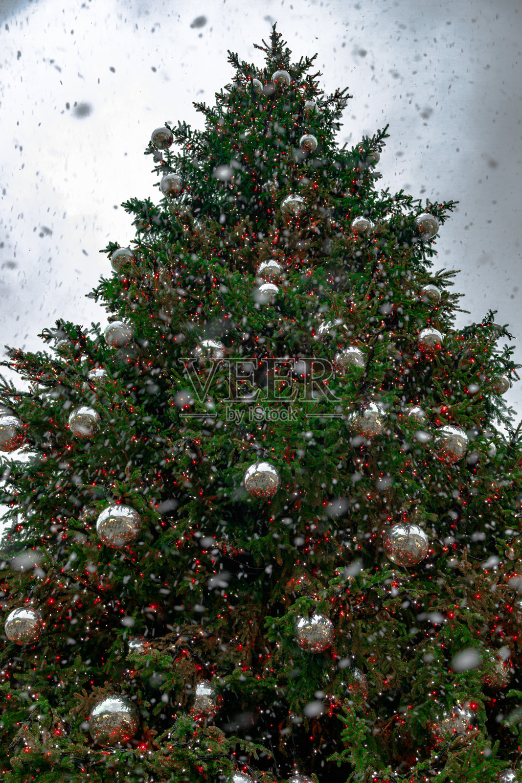 大圣诞树照明细节照片摄影图片