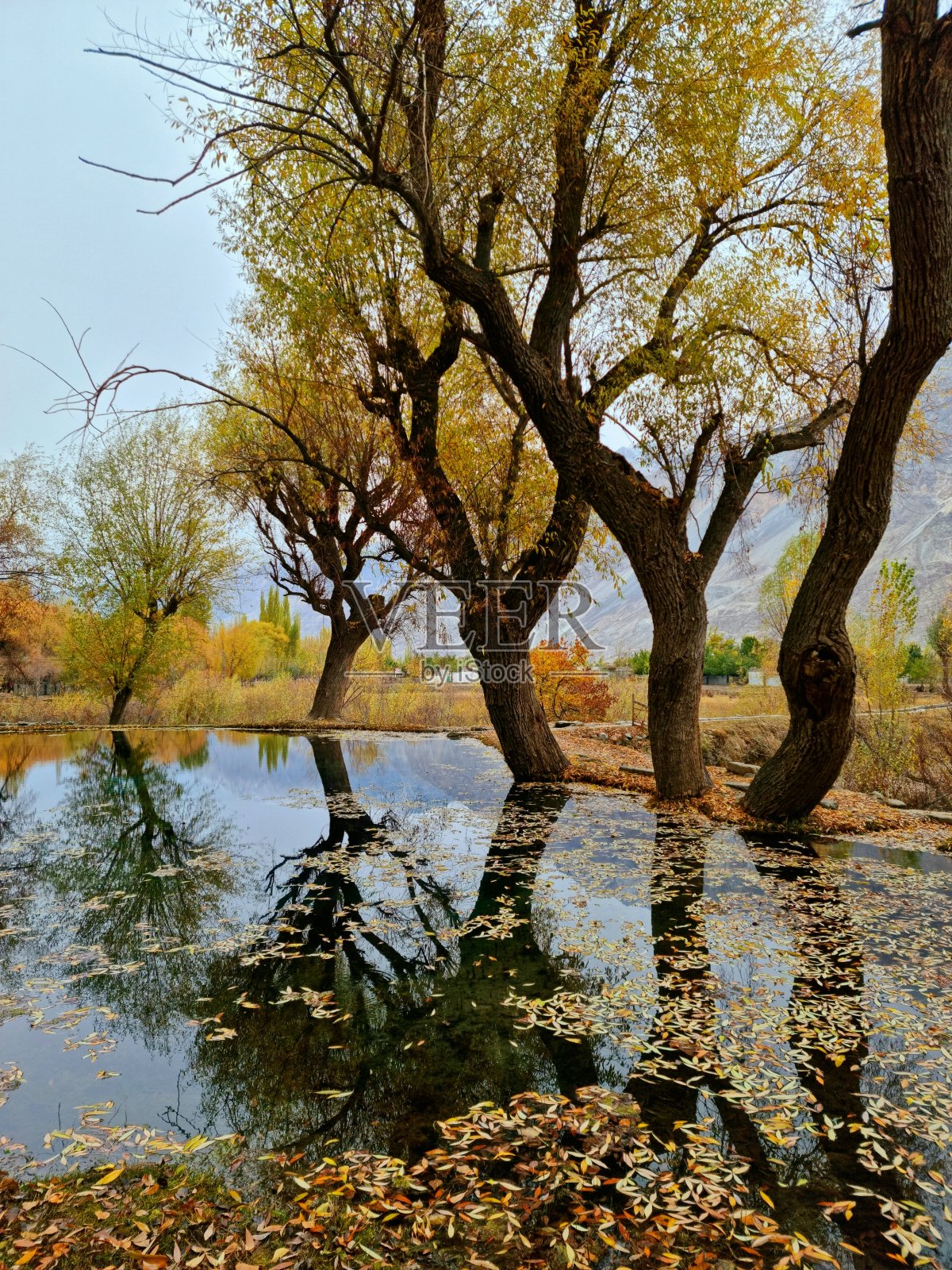 秋天的色彩与反射照片摄影图片