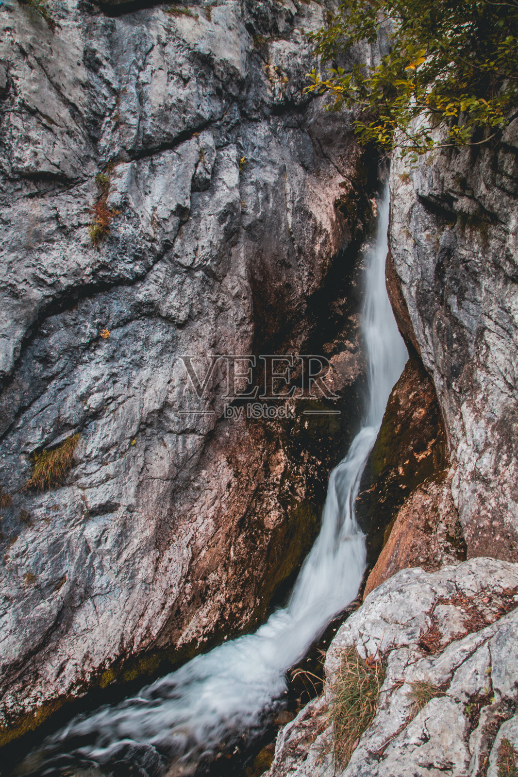 斯洛文尼亚特里格拉夫国家公园Soča河的源头照片摄影图片