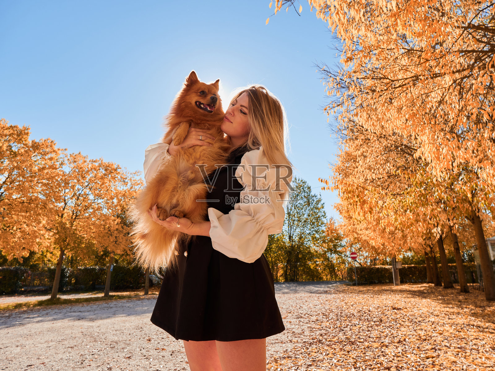 漂亮的女孩和博美犬玩耍照片摄影图片