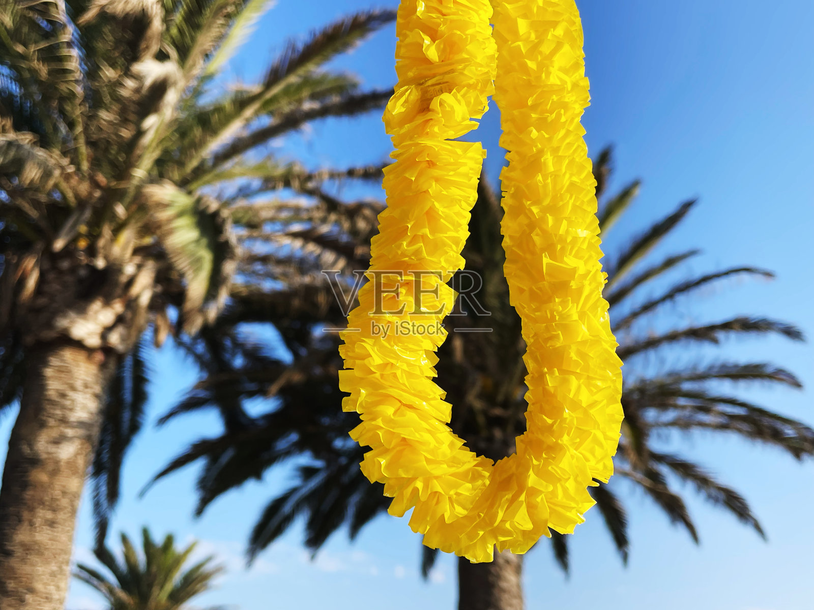 黄色，静物，Ca照片摄影图片