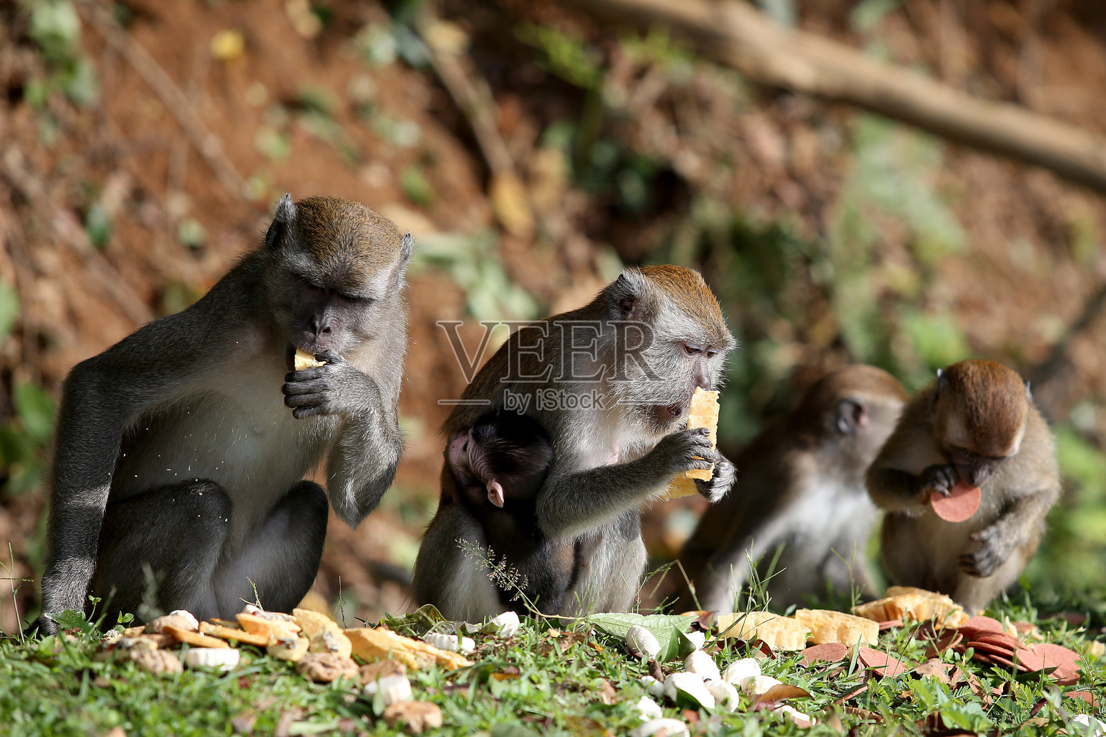 抽象——黄照片摄影图片