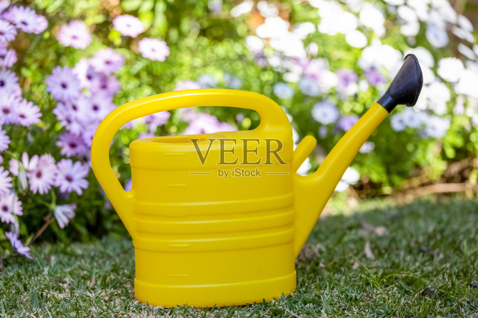 黄色塑料水可以站在花坛前，背景与复制空间照片摄影图片