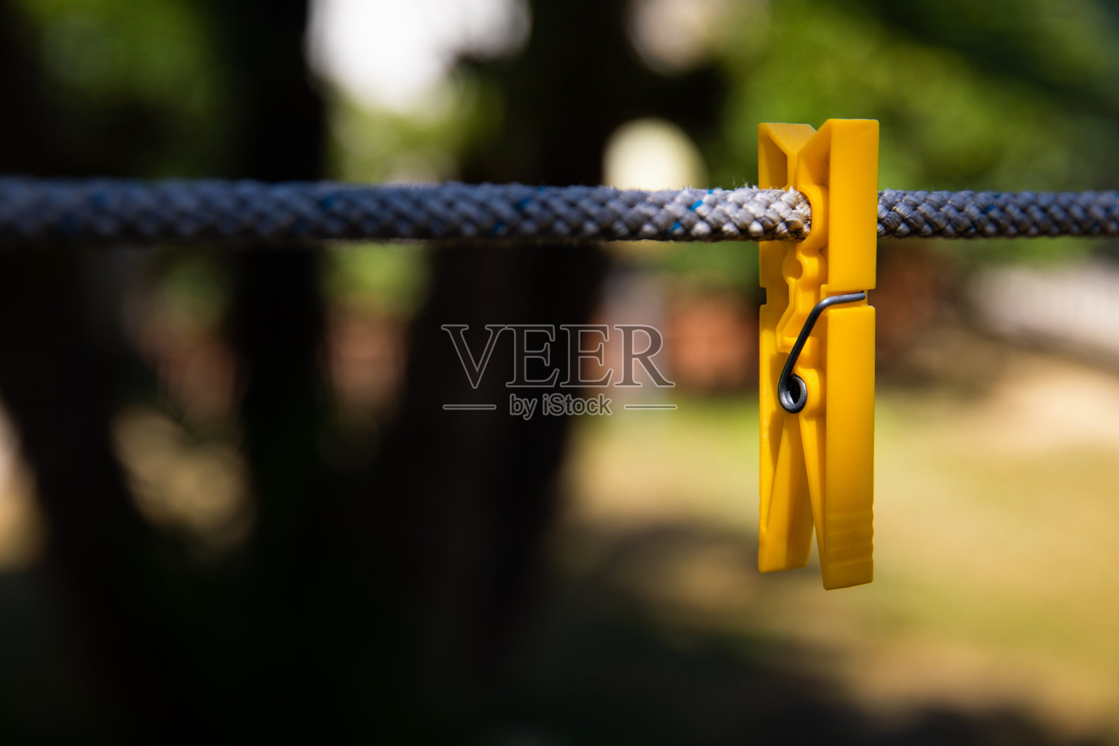 黄衣夹照片摄影图片