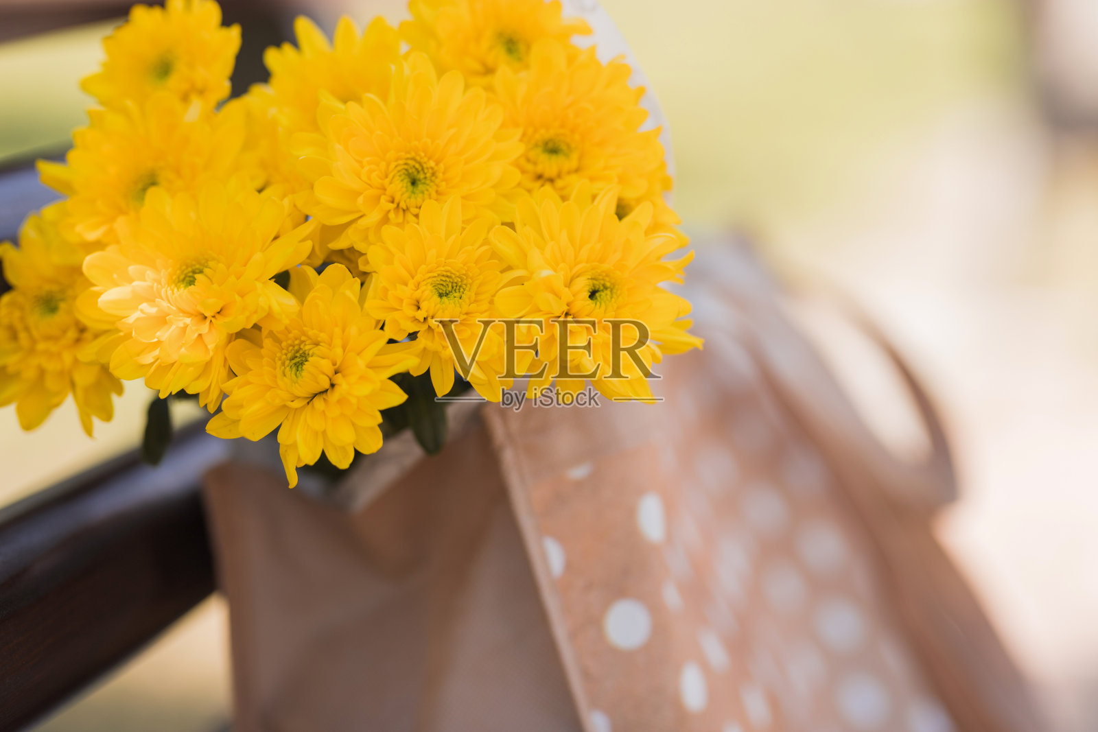 一束黄色的野花从公园长椅上的袋子里探出头来照片摄影图片