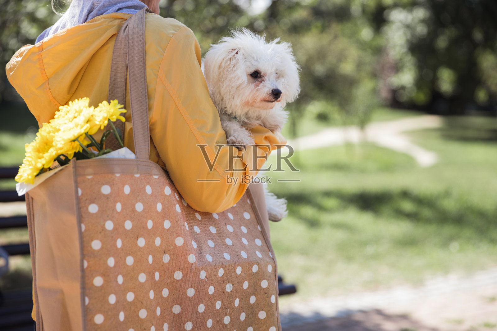 怀里抱着狗的女人照片摄影图片