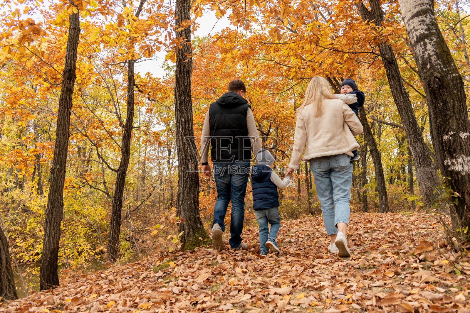 年轻的一家人继续在秋天的森林里散步。后视图。照片摄影图片