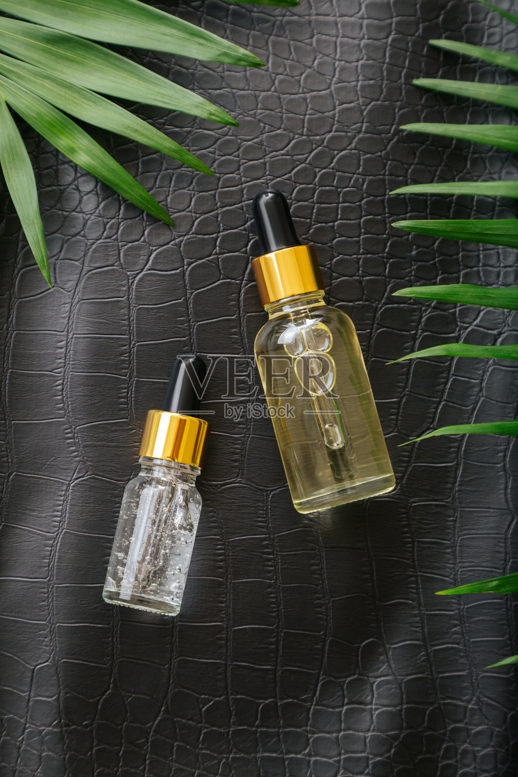 胶原血清或透明质血滴在黑色鳄鱼皮纹理背景与棕榈叶。护肤品化妆品瓶。化妆品健康面部皮肤美容垂直照片摄影图片