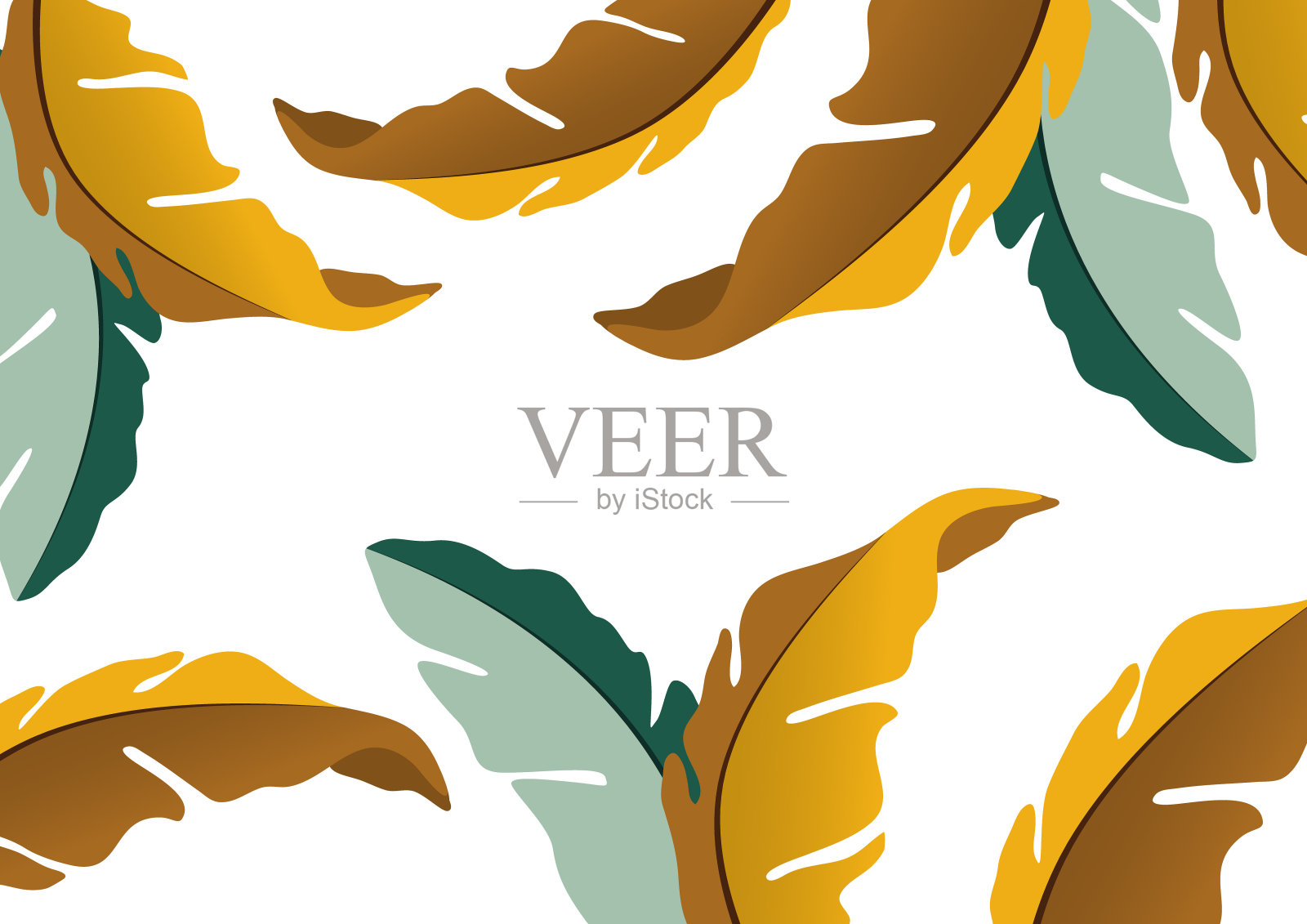 彩色装饰橡树叶在白色的背景，落叶。为你的设计创造模板。向量插画图片素材