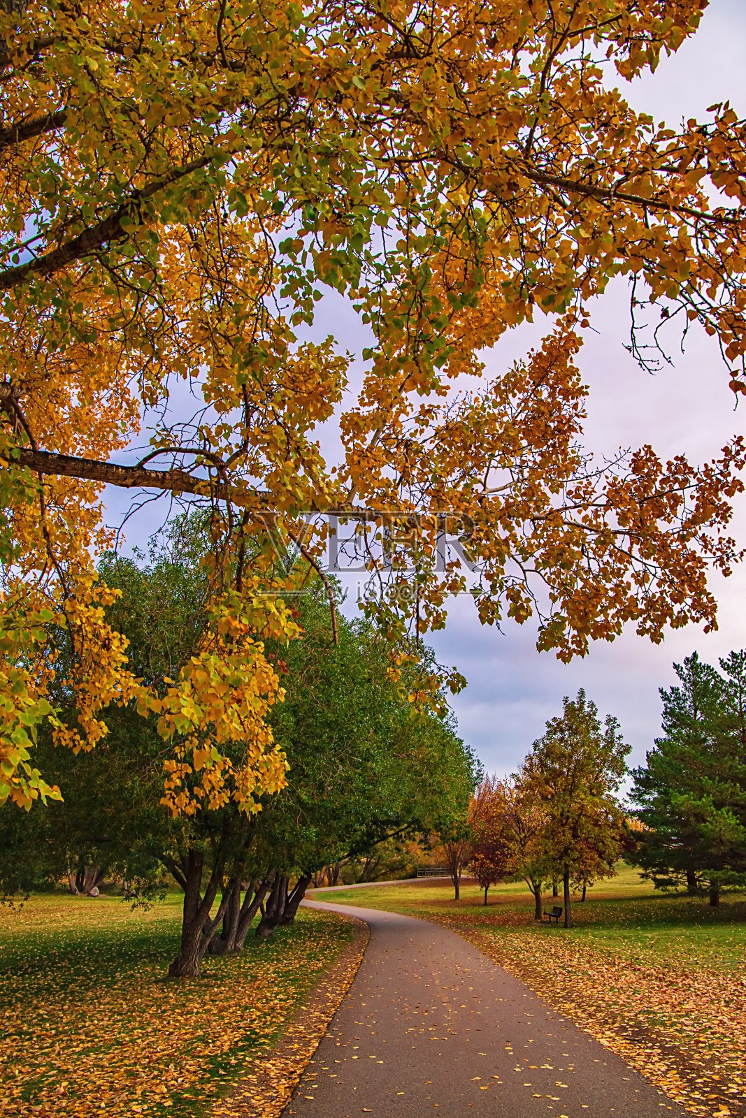 通往秋天公园的道路照片摄影图片