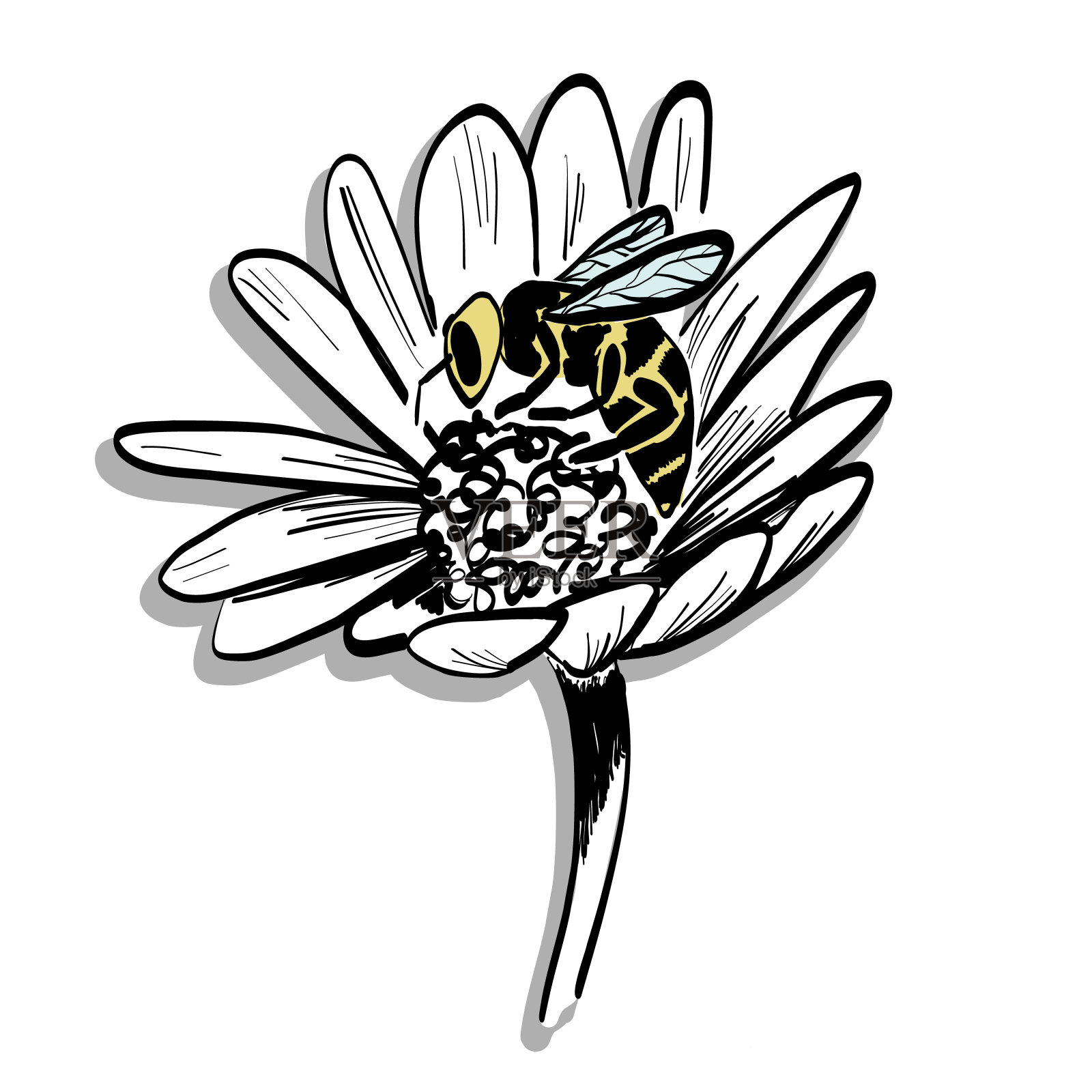 蜜蜂啜花采蜜。素描矢量插图。设计元素图片