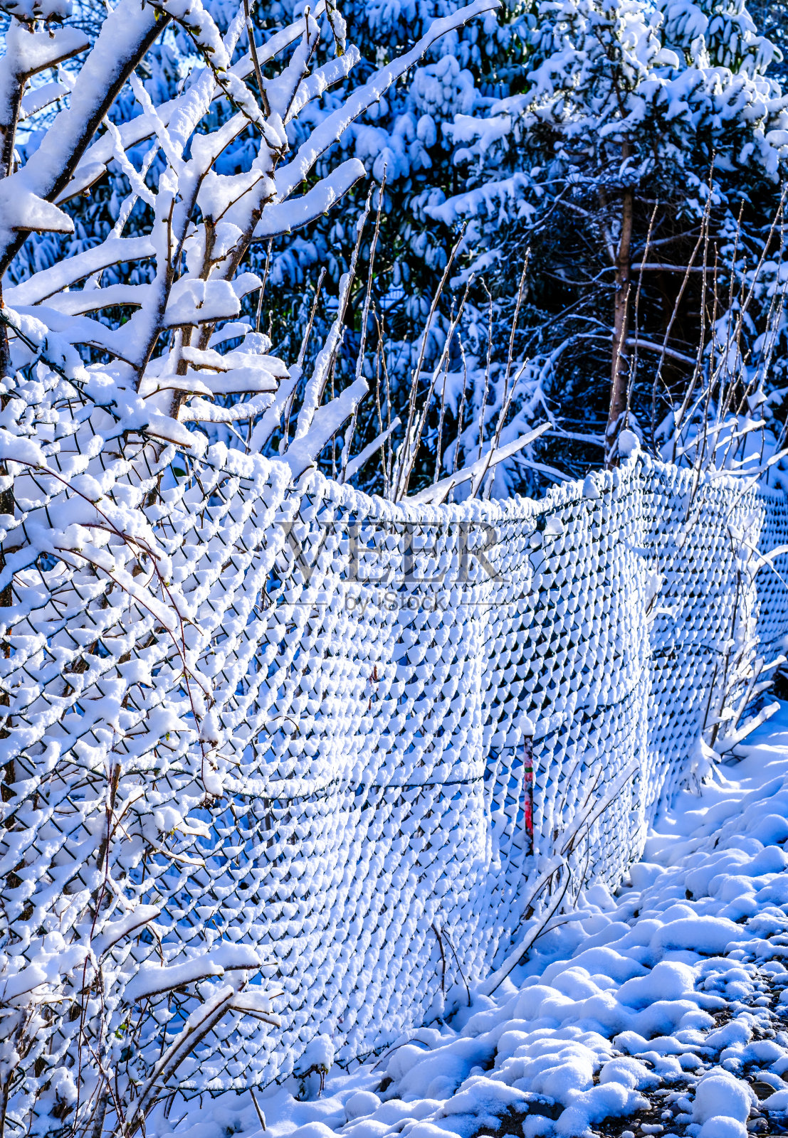 篱笆在冬天照片摄影图片