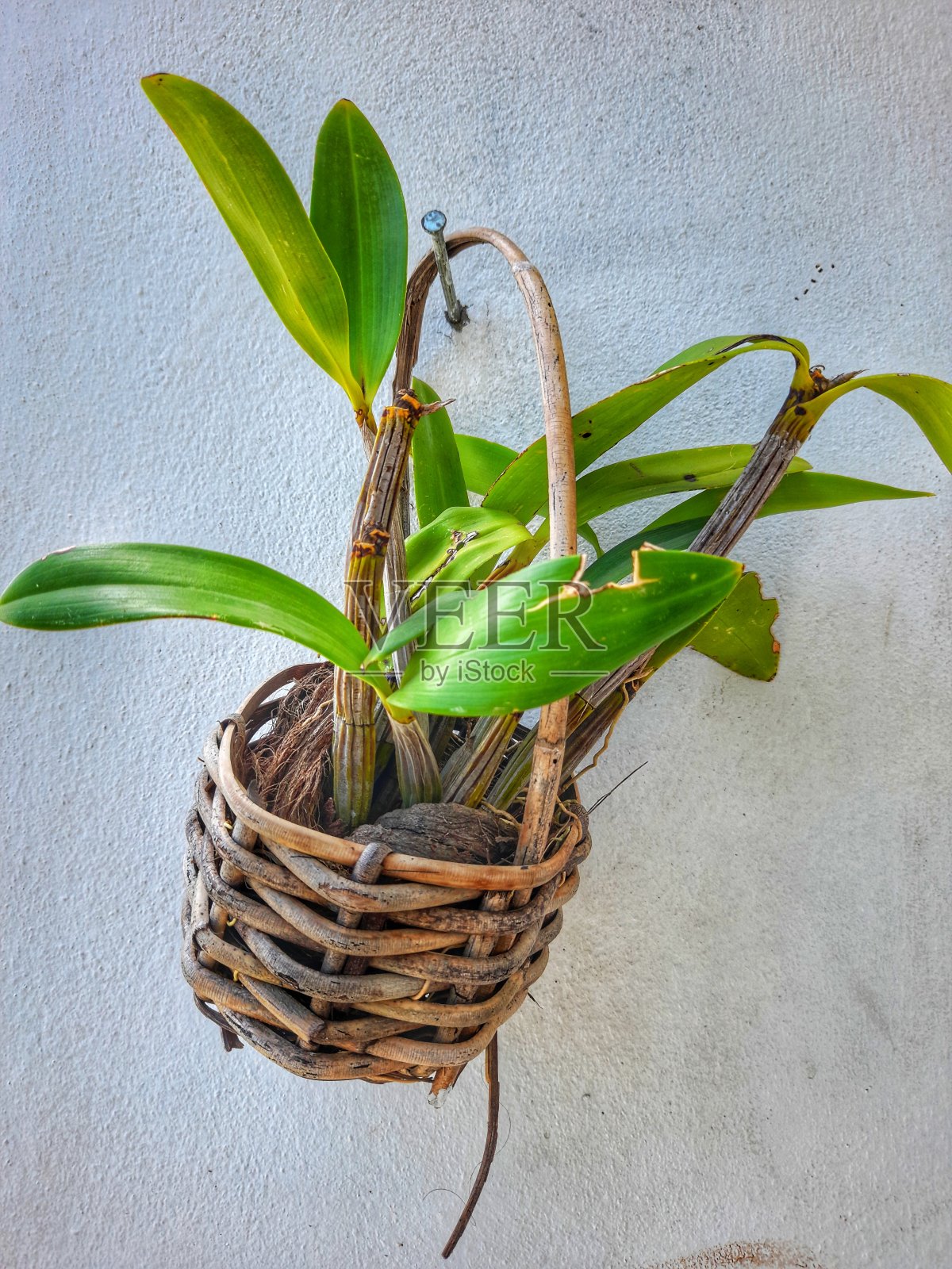 摘要照片摄影图片