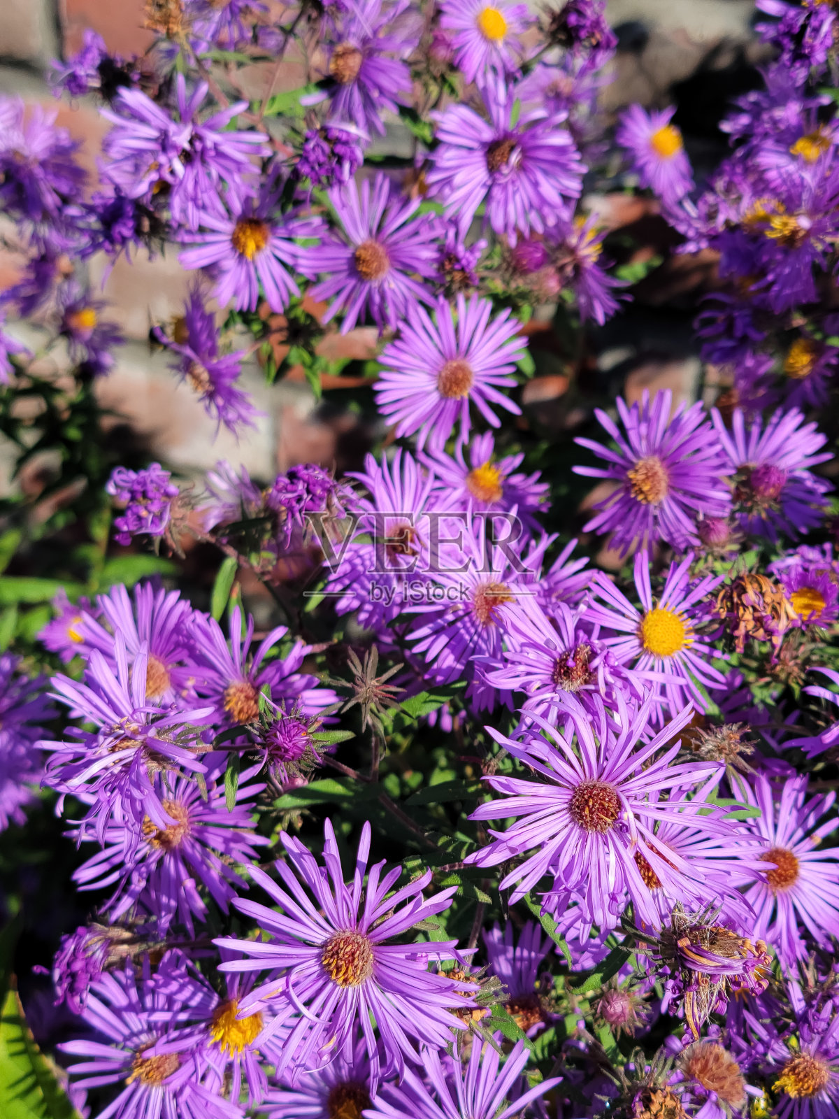 寻找希望和灵感照片摄影图片