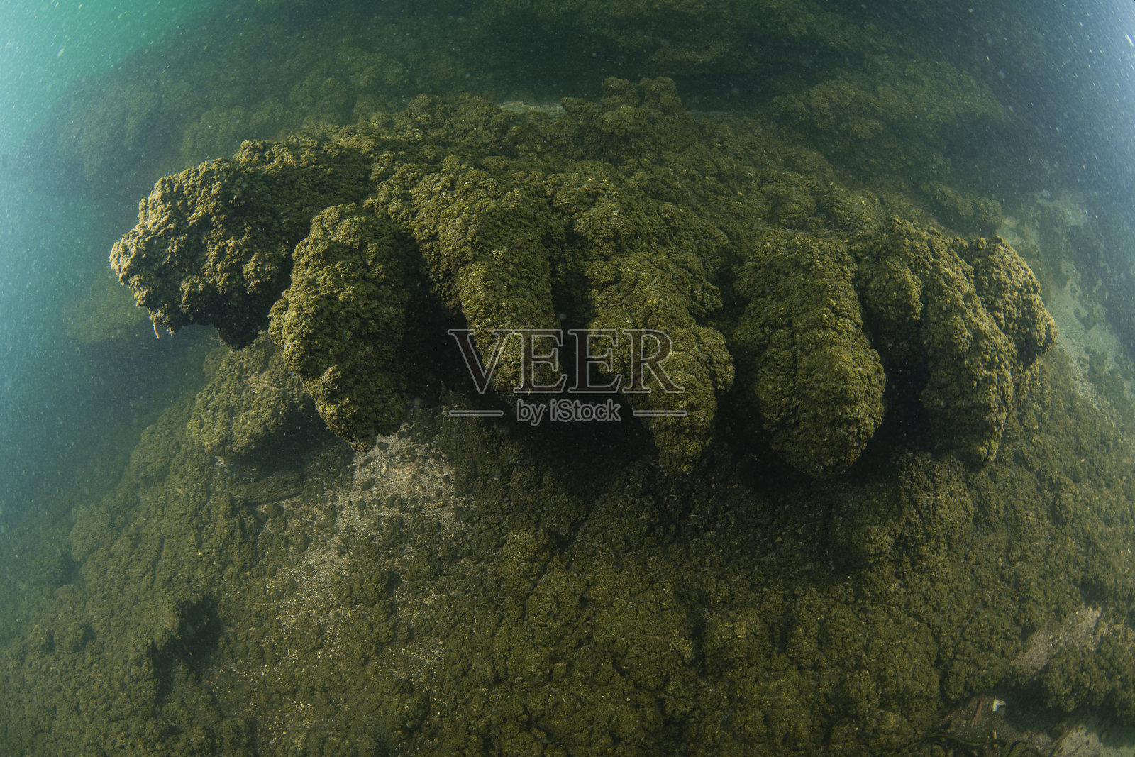 湖底照片摄影图片