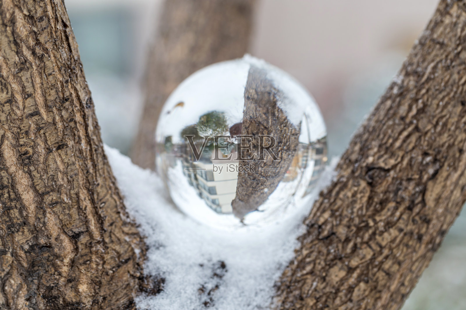 雪地里的玻璃球照片摄影图片