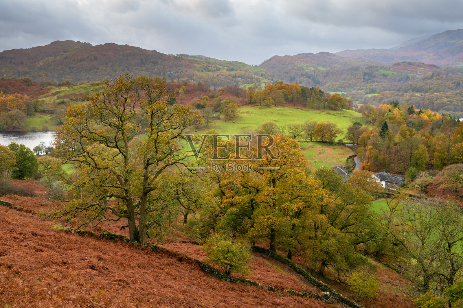 来自湖区国家公园Loughrigg Fell的秋色照片摄影图片