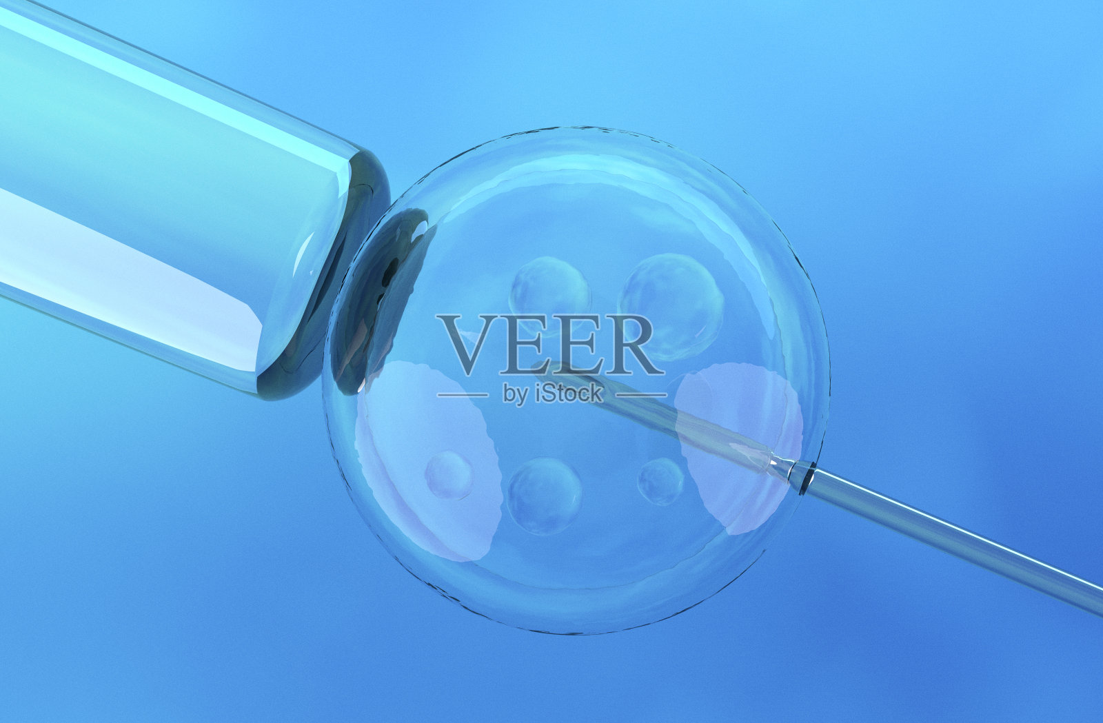 体外受精照片摄影图片