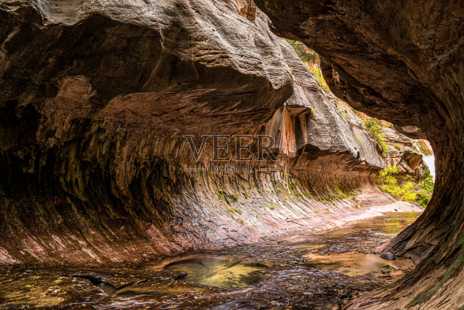 犹他州锡安国家公园壮丽的地铁峡谷地标照片摄影图片