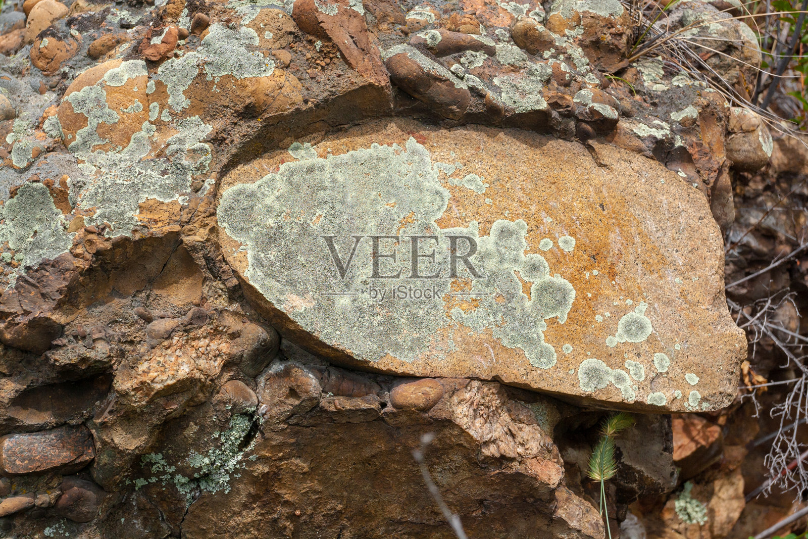 花岗岩中的石头在岩石上覆盖着绿色的苔藓和地衣。照片摄影图片