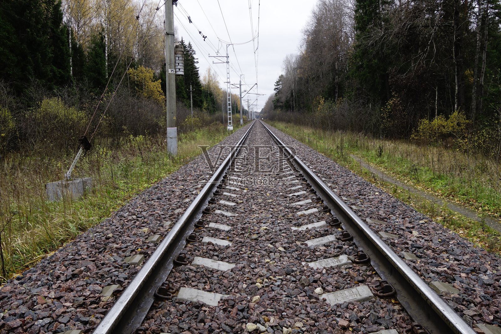 秋天的铁轨照片摄影图片