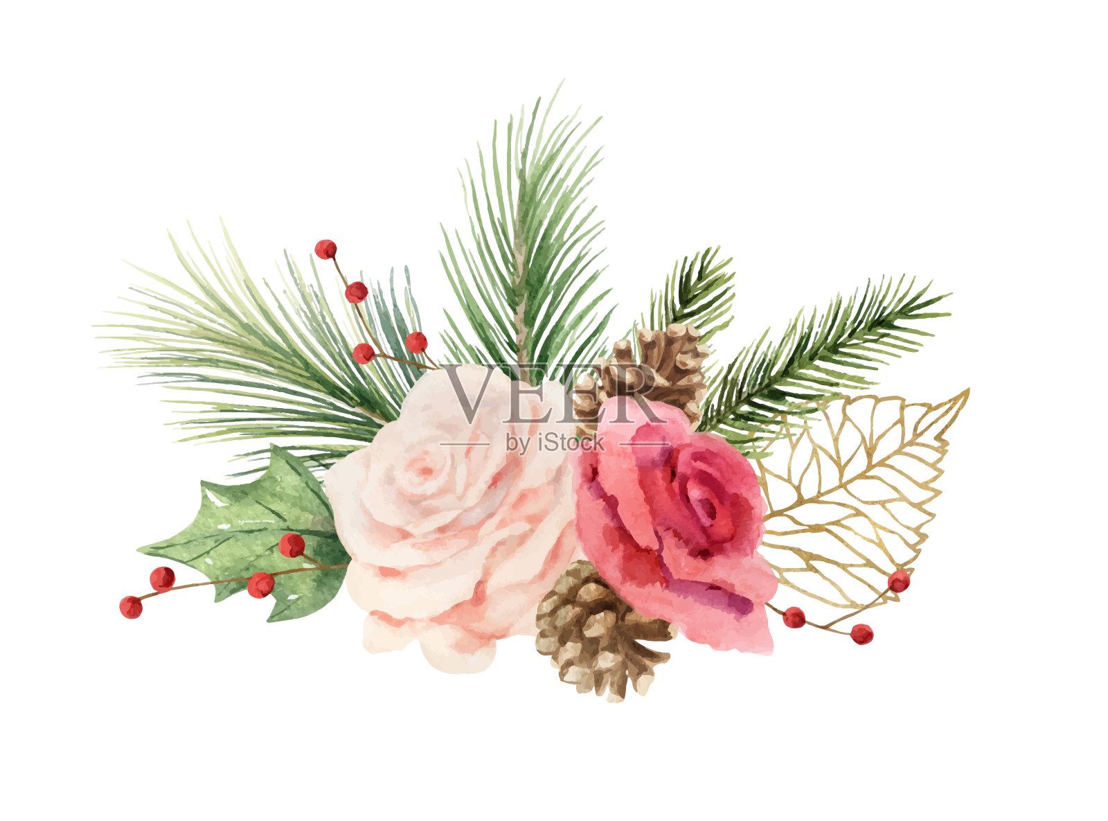 水彩向量圣诞节花束与冷杉枝，玫瑰和桉树。手绘插图贺卡与鲜花和邀请孤立在一个白色的背景。设计元素图片