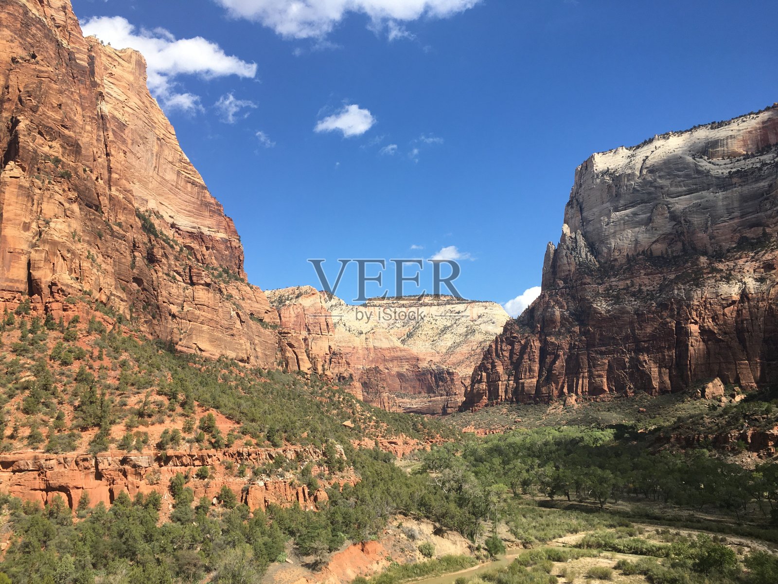 犹他州锡安国家公园的翡翠池小径。照片摄影图片