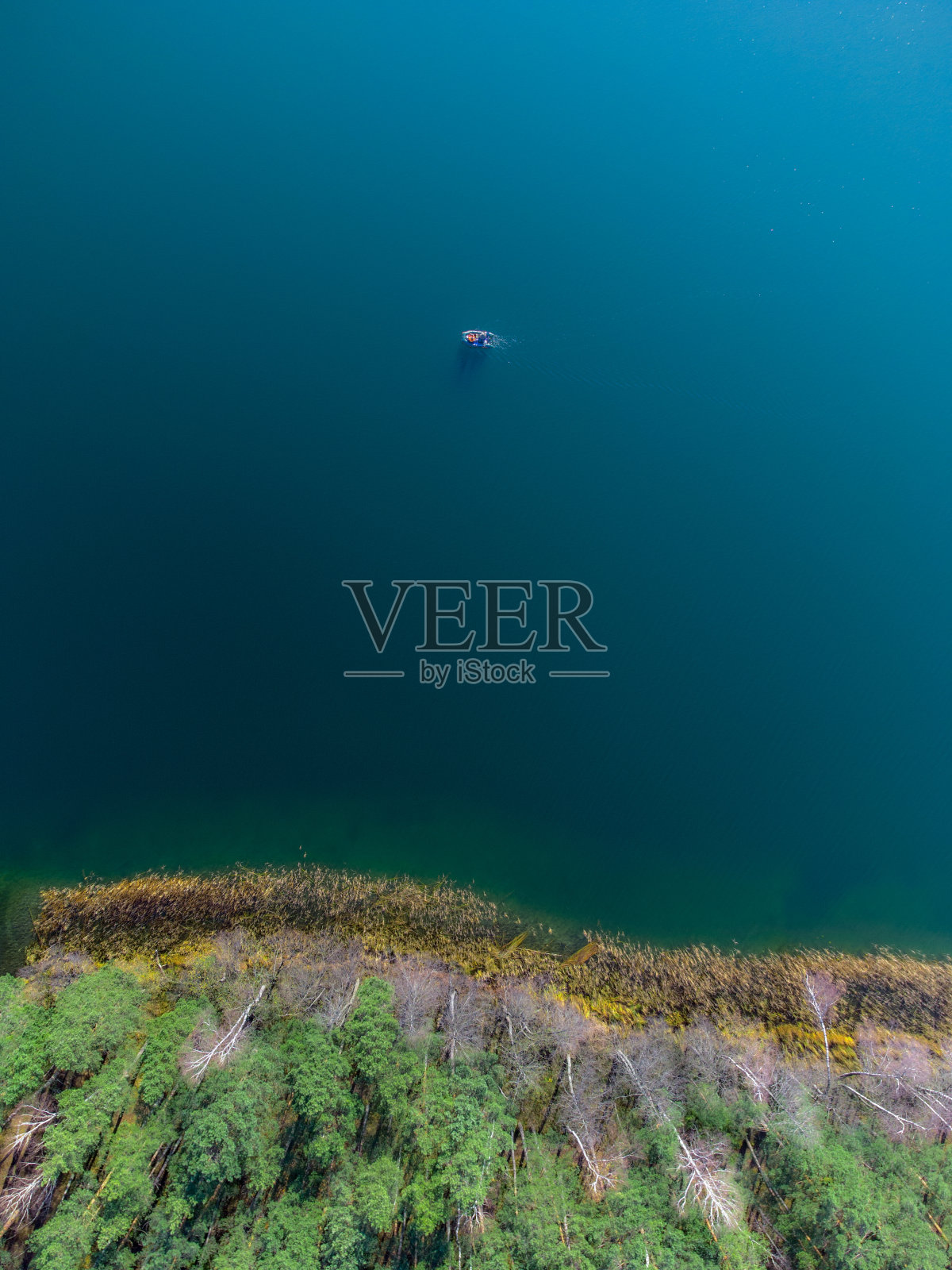 秋天的Spindžius湖照片摄影图片