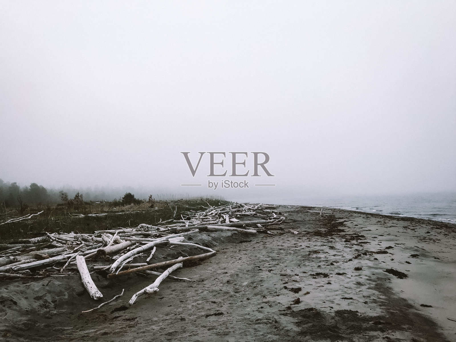 俄罗斯白海沿岸照片摄影图片